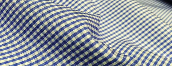 blue check poplin fabric