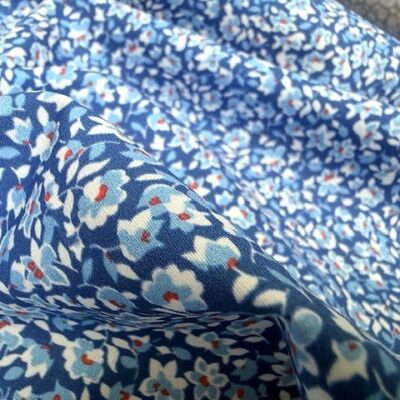 Hampton 450 blue print fabric