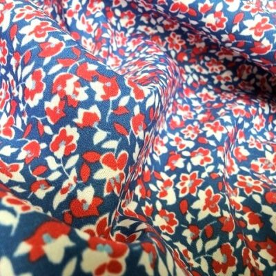 Hampton 450 red print fabric